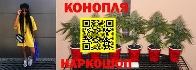 прущие крисы Азнакаево