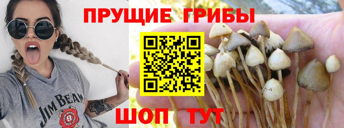 Галлюциногенные грибы ЛСД Артём